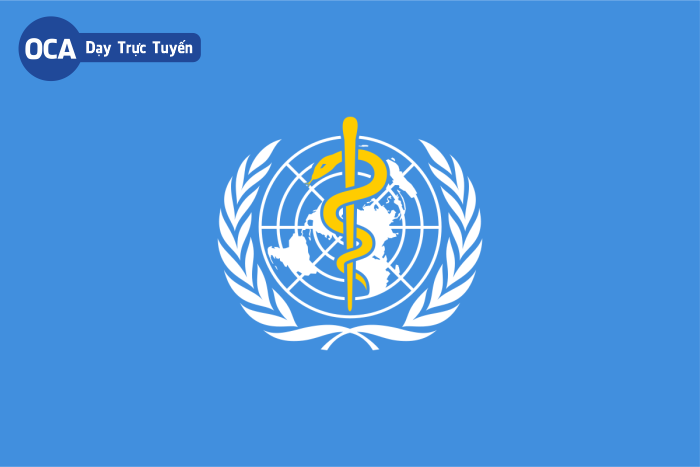 Tổ chức Y tế Thế giới tiếng Hàn là gì